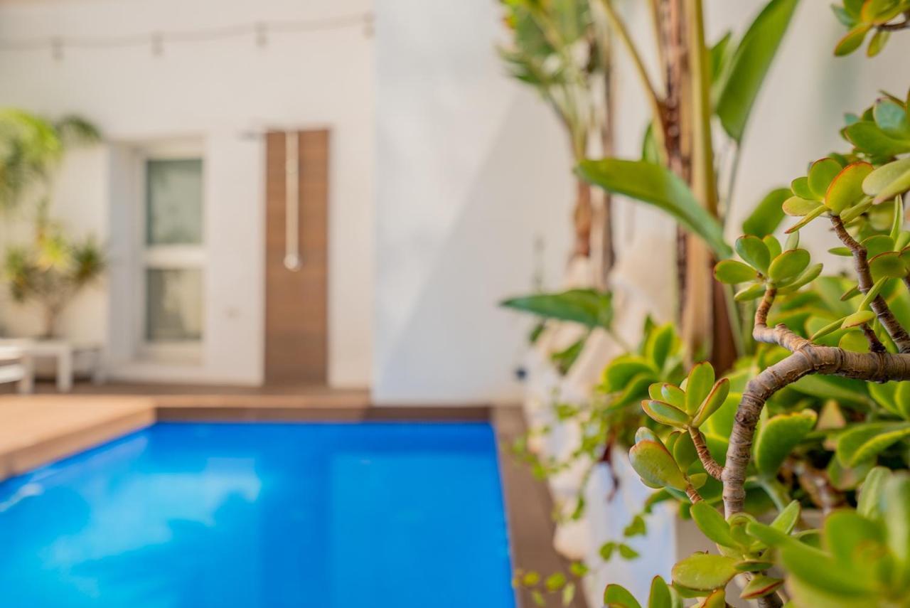 Vlvilla - Villa De Lujo En Valencia Con Piscina Privada Y Sala De Cine برجست المظهر الخارجي الصورة